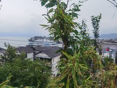 -南诏风情岛