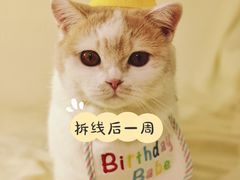 -申普宠物医院·心脏介入·心血管微创(总院)