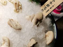 -九鼎轩脆毛肚火锅(徐州苏宁店)