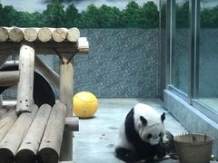 -西安秦岭野生动物园