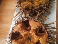 -海胆小馆(东北水饺·春柳店)