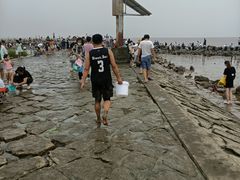 -南汇嘴观海公园