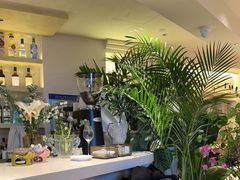 -HUATA 'Holiday Plan 花榻