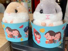 -九秋茶铺(三里屯店)