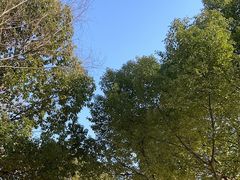 -合肥三国新城遗址公园