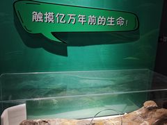-珠海市博物馆