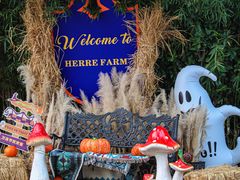 -HERRE·FARM 赫尔露营农场·团建聚会包场