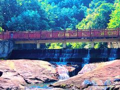 -广州白江湖森林公园