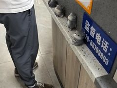 -半岛宠物医院24小时(白果林店)