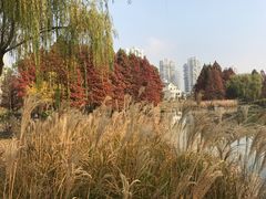 -白塘生态植物园