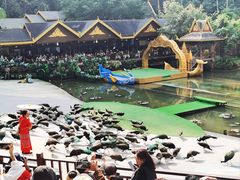 -西双版纳原始森林公园