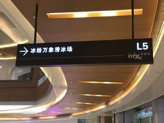 -冰纷万象滑冰场(二七万象城店)