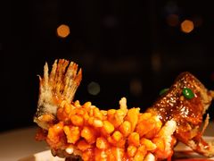 -松鹤楼·非遗·苏帮菜(融科店)