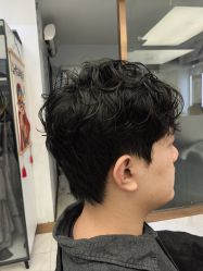 -镁连社·美联社