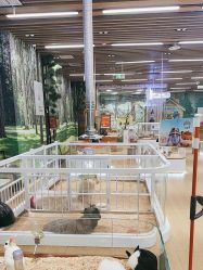 -小象动悟公园(龙湖亦庄天街店)