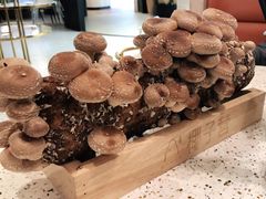 -椰子营·椰子鸡火锅(万象里店)