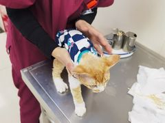 -美联众合动物医院·24h京西诊疗中心