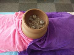 -爱月宝月嫂·育儿嫂(哈尔滨总店)