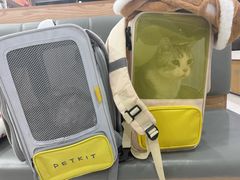 -艾贝尔宠物医院·24H转诊中心·肿瘤猫专科(江宁双龙店)