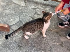 -龙华素斋(龙华路店)