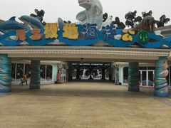 -海合安成都极地海洋公园