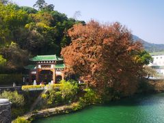 -广东温泉宾馆
