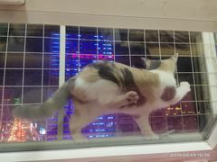 -大连福佳爱琴海购物公园(西安路店)