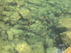 -小七孔景区-六十八级跌水瀑布