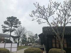 -灵岩山风景区