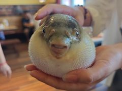 -永安鱼庄·镇江菜(丁卯店)