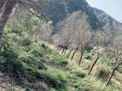 -白河湾生态旅游一条川