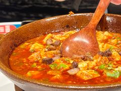 麻婆豆腐-眉州东坡(清河万象汇店)