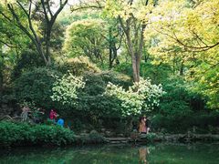 -惠山古镇·寄畅园