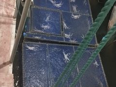 -君豪蟹都·湖景·农家乐(蟹舫苑店)
