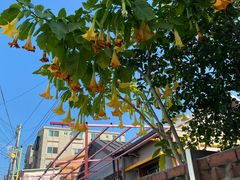 -松月洞童话村