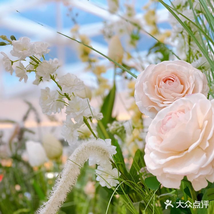 深圳探店 | 花厨