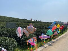 -龙坞茶村