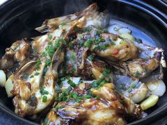 -鸽小宝(深圳首店)