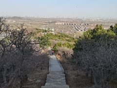 -北京西山国家森林公园