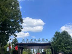 -黄海国家森林公园