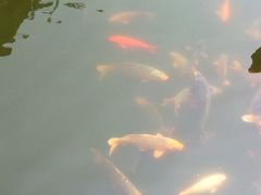 -上海鲁迅故居