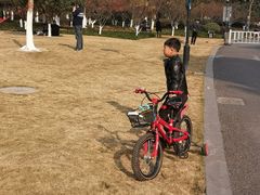 -杭州城北体育公园