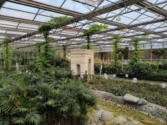 -南宫五洲植物乐园