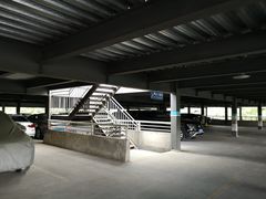 -上海植物园·停车场