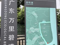 -长洲岛