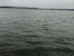 -丁香湖公园
