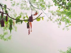 -溪口-滕头旅游景区