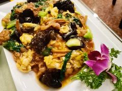 醋溜苜蓿羊肉-燕风楼烤鸭店(建设总店)