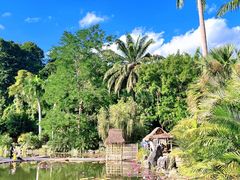 -中国科学院西双版纳热带植物园