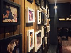 -百好乐宠物友好餐厅(朝外大街店)